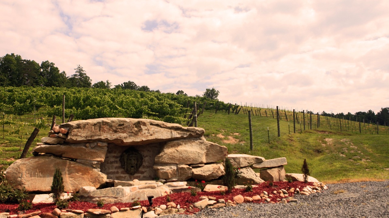 Photo of Outdoor in Traphill