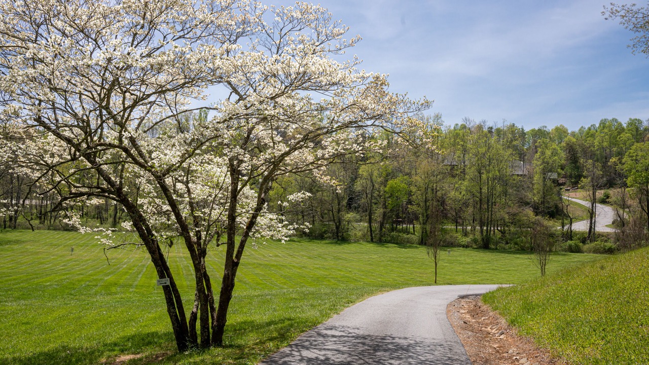 Photo of Outdoor in Fairview