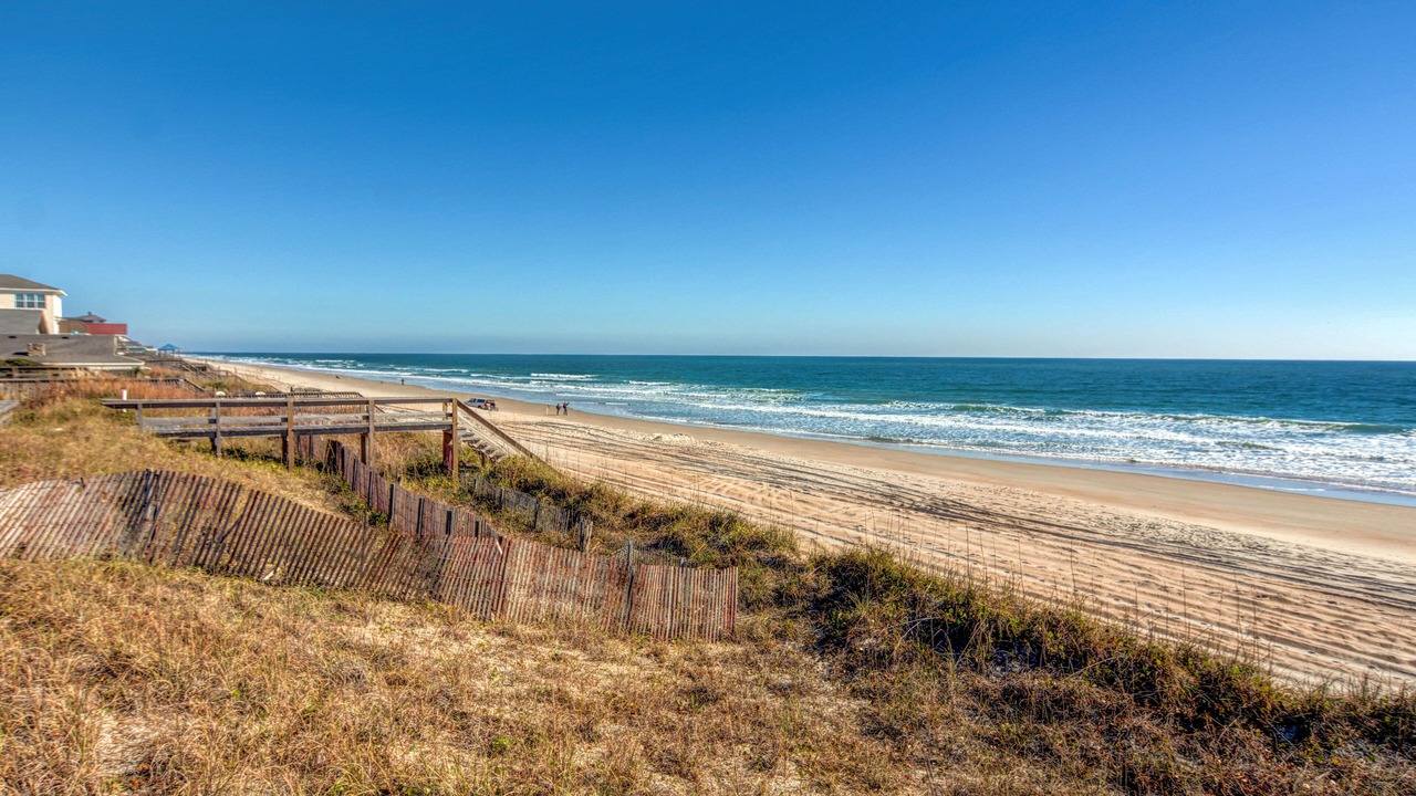 Photo of Others in Surf City