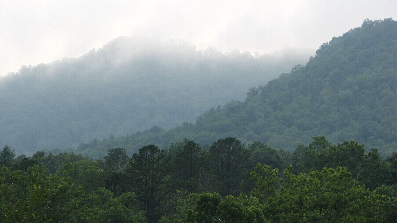 Photo of Outdoor in Otto