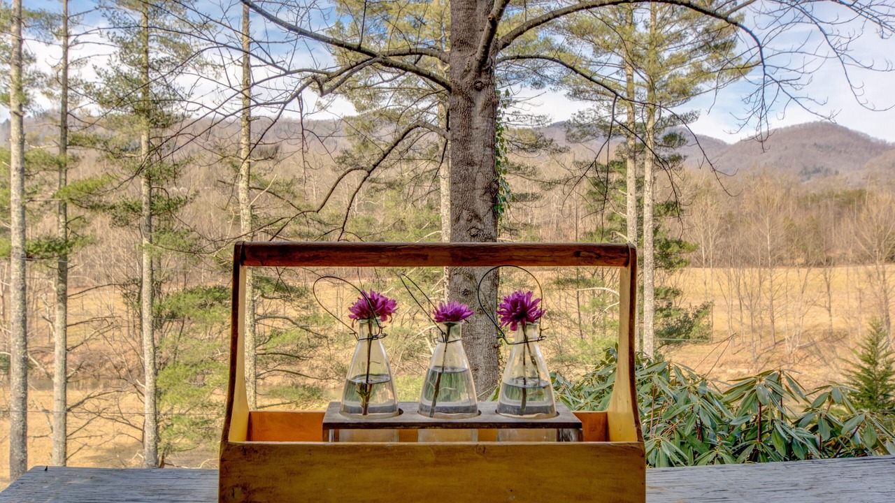 Photo of Outdoor in Otto