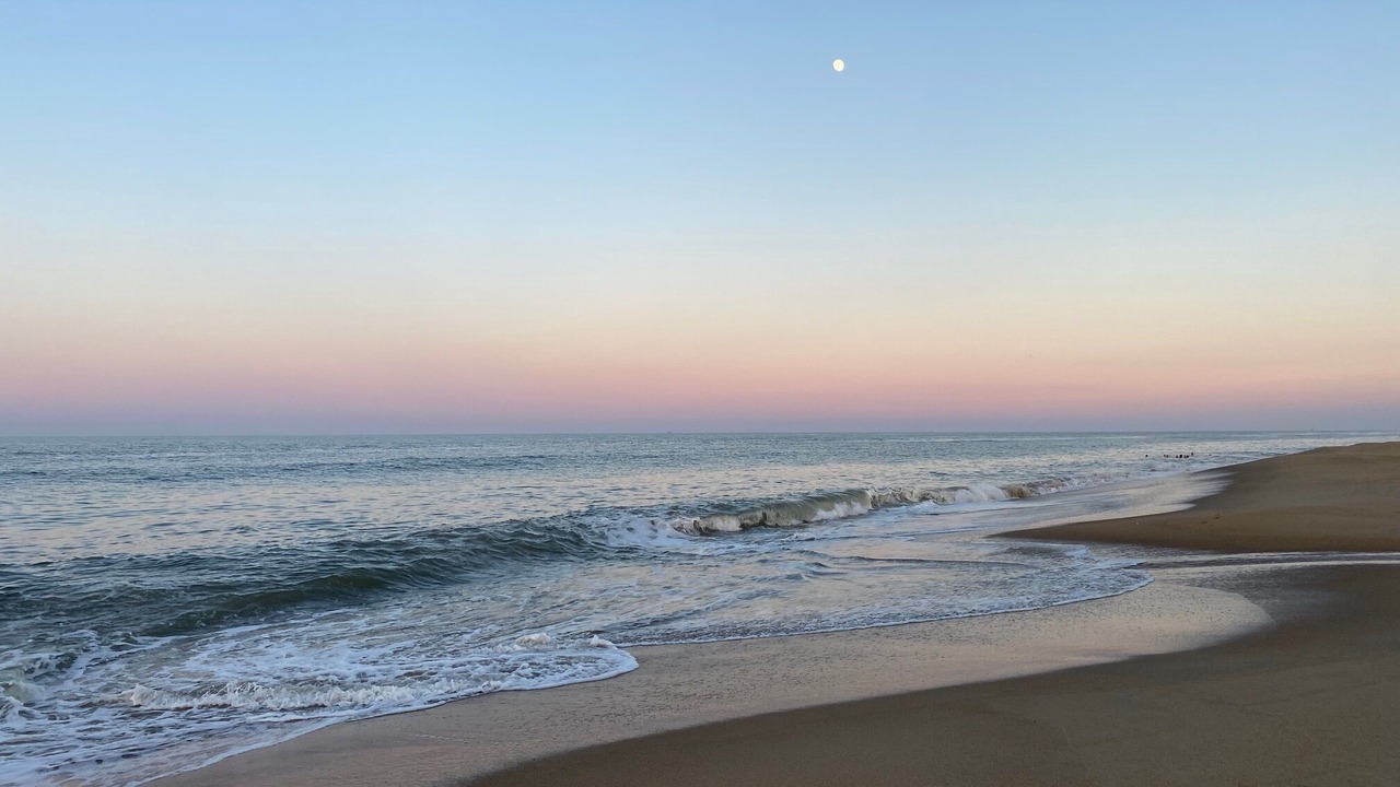 Photo of Others in Northeast Virginia Beach