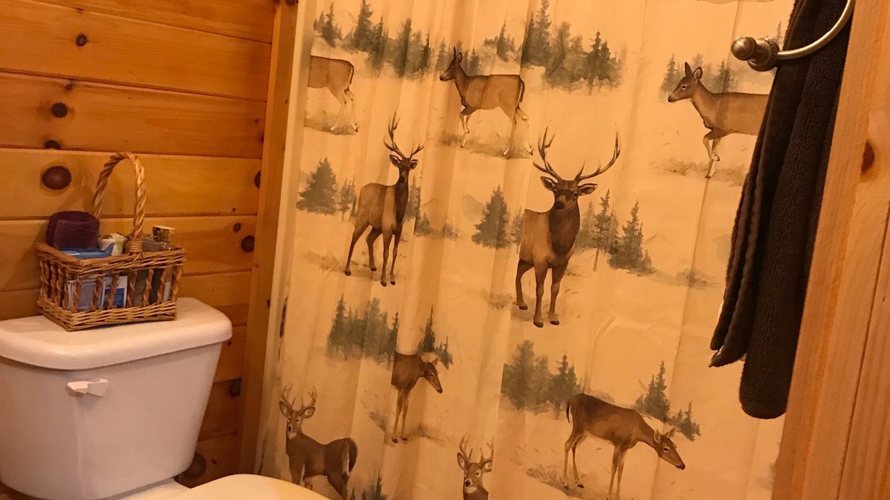 Photo of Bathroom in Boone