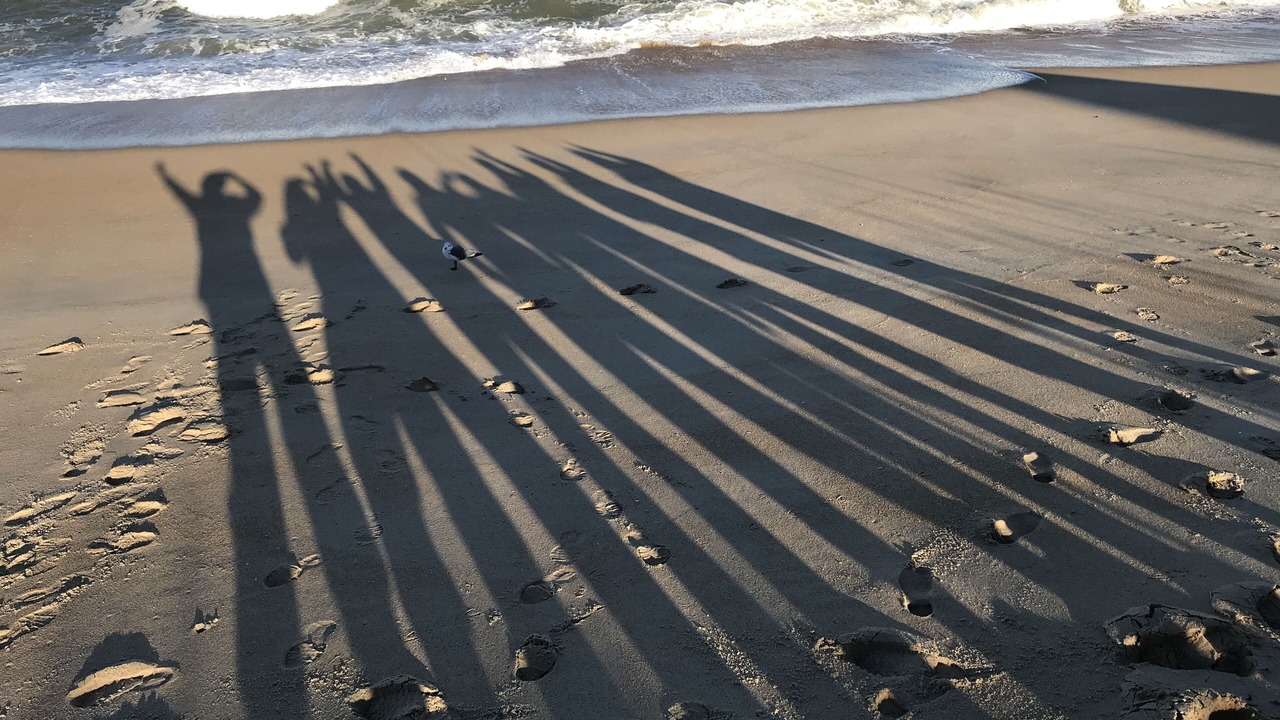 Photo of Others in Duck
