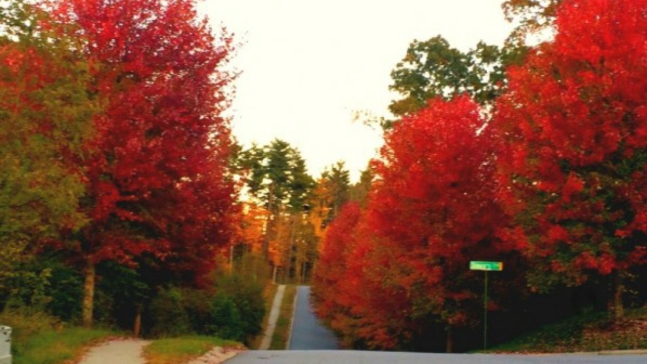 Photo of Outdoor in Asheville
