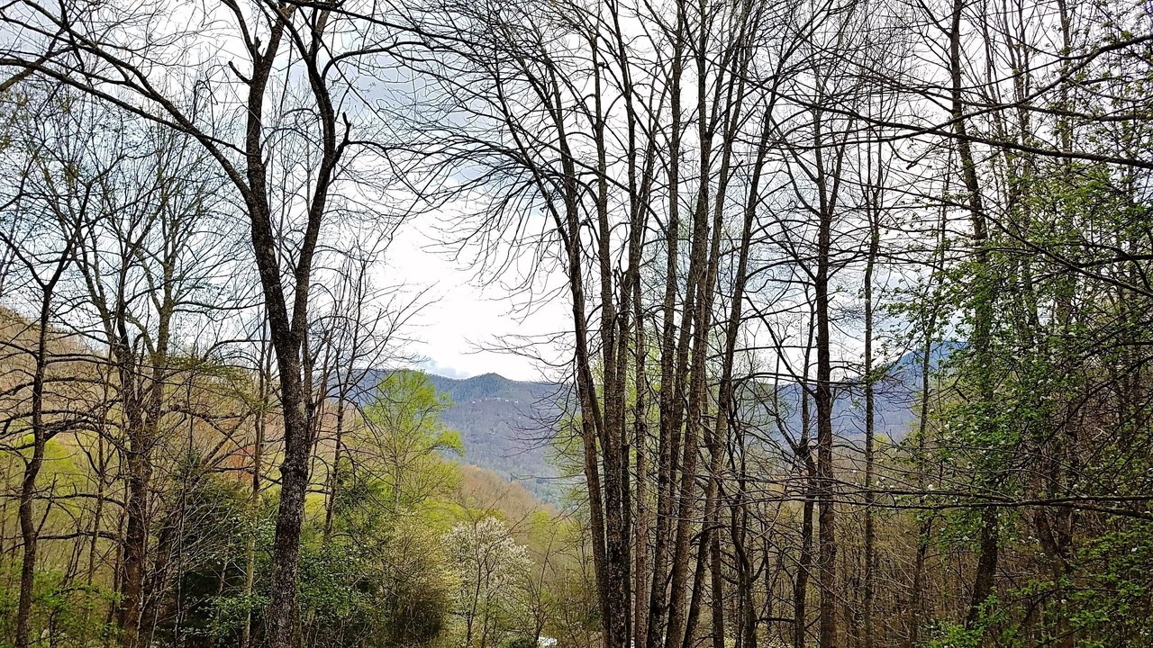 Photo of Others in Maggie Valley