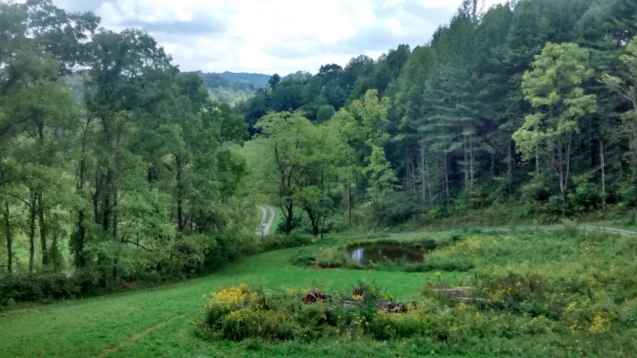 Photo of Outdoor in Marshall
