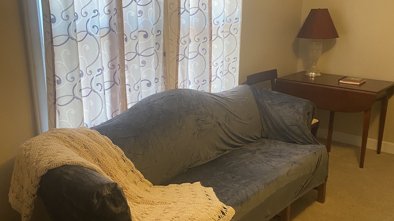 Photo of Livingroom in Hendersonville