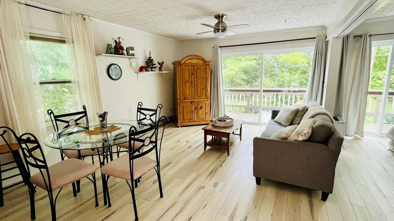 Photo of Livingroom in Beech Mountain
