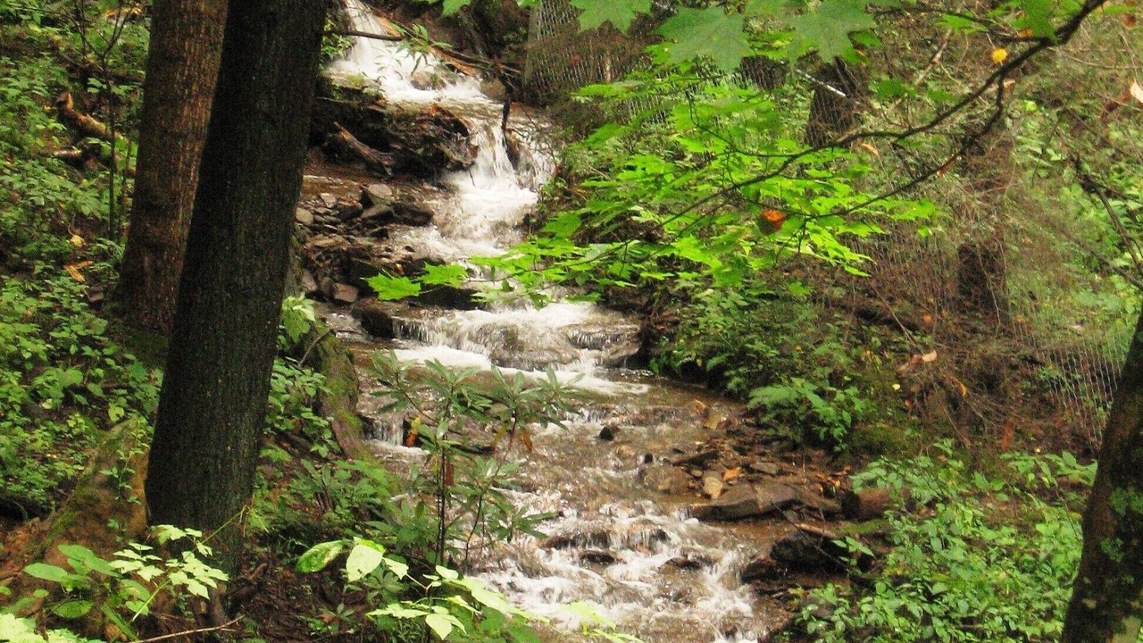Photo of Others in Maggie Valley