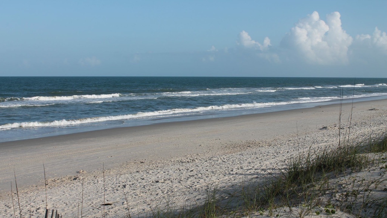Photo of Others in North Carolina Coast