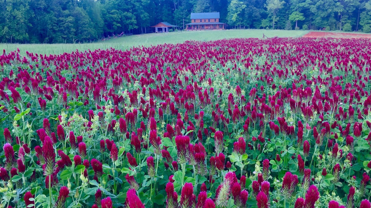 Photo of Outdoor in Albemarle