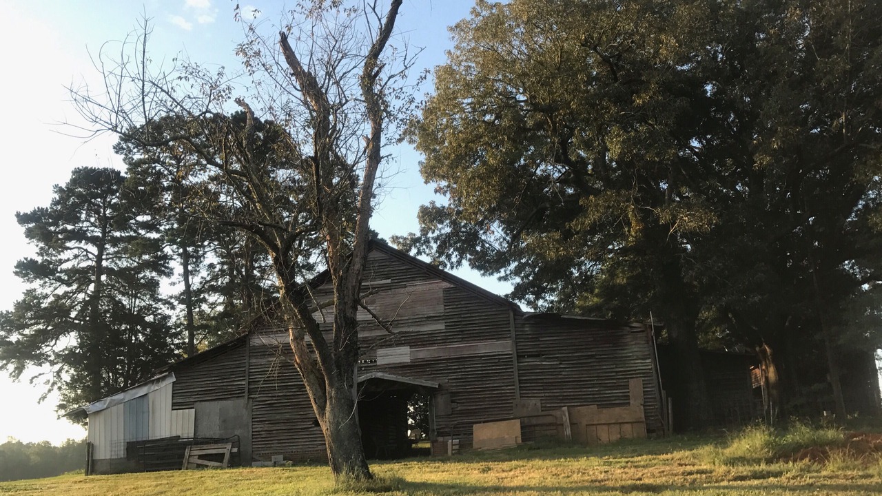 Photo of Outdoor in Albemarle