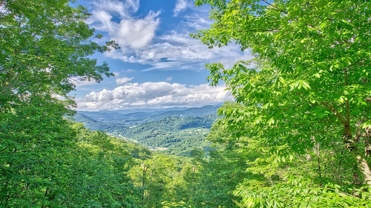 Photo of Others in Maggie Valley