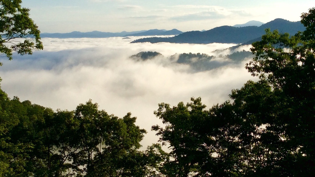Photo of Others in Maggie Valley