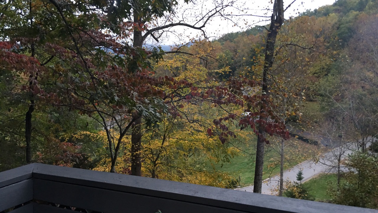Photo of Others in Black Mountain