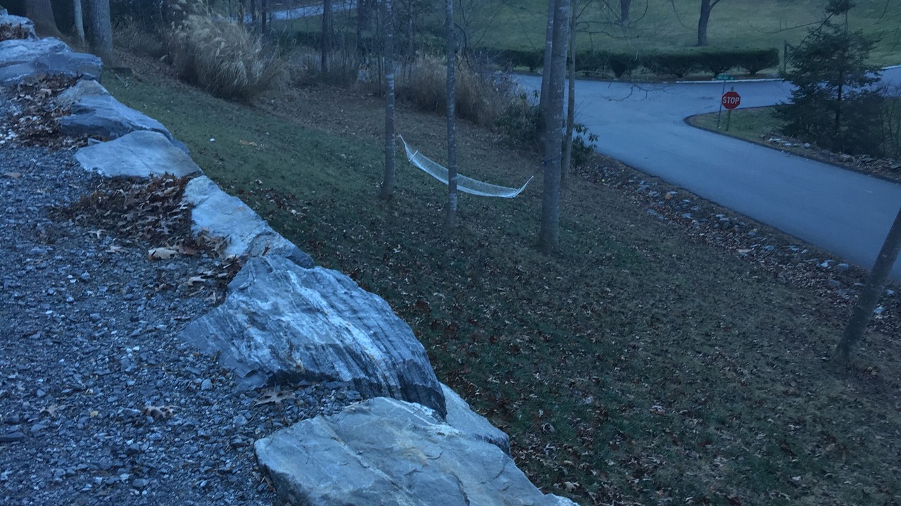 Photo of Outdoor in Black Mountain