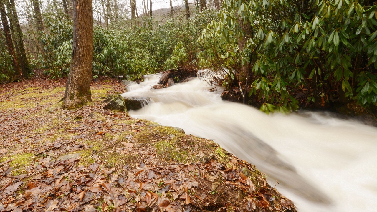 Photo of Outdoor in Maggie Valley
