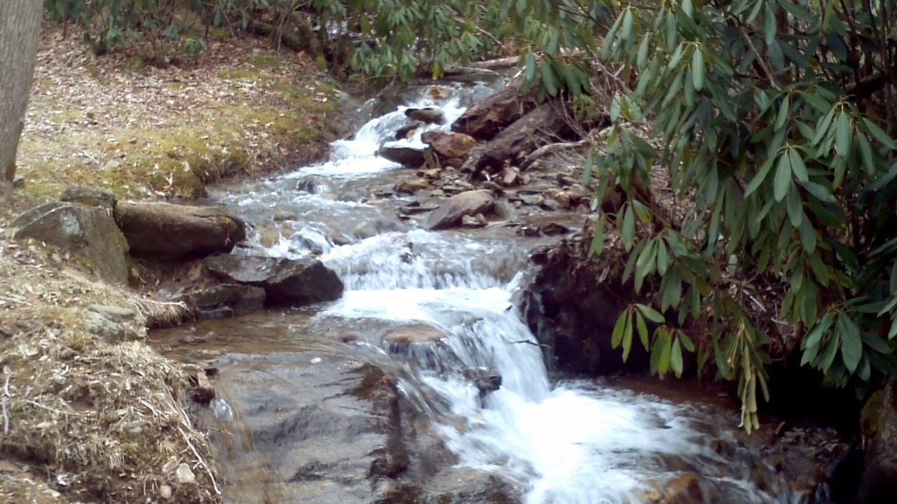 Photo of Others in Maggie Valley