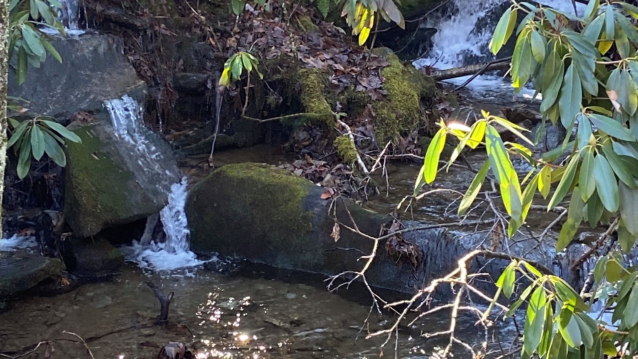 Photo of Outdoor in Maggie Valley