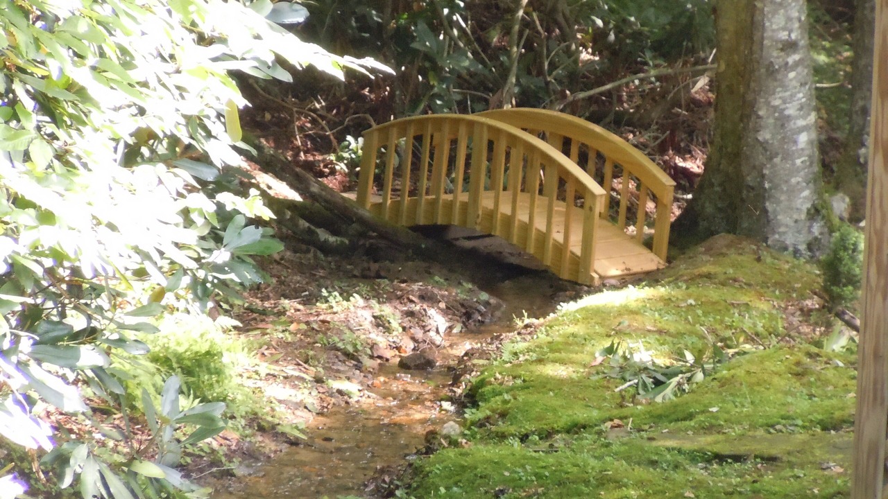 Photo of Others in Maggie Valley