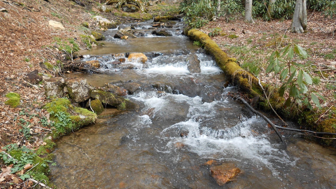 Photo of Others in Maggie Valley