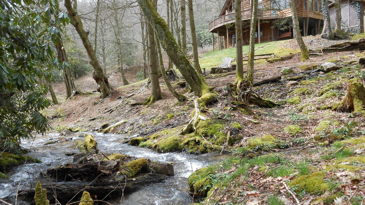 Photo of Others in Maggie Valley
