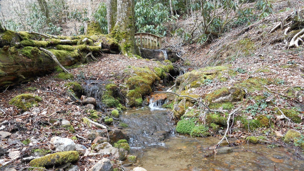 Photo of Others in Maggie Valley