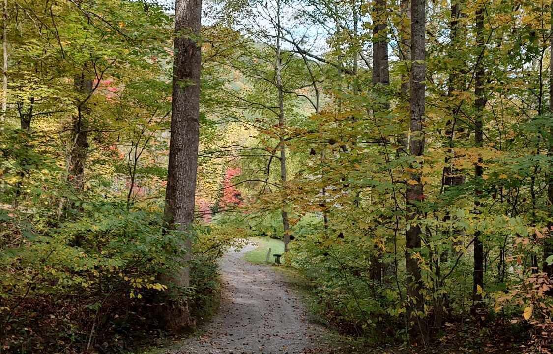 Photo of Outdoor in Waynesville
