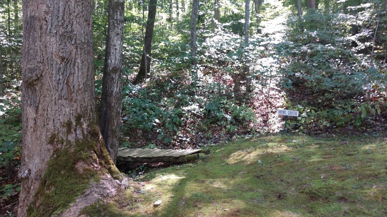 Photo of Outdoor in Waynesville