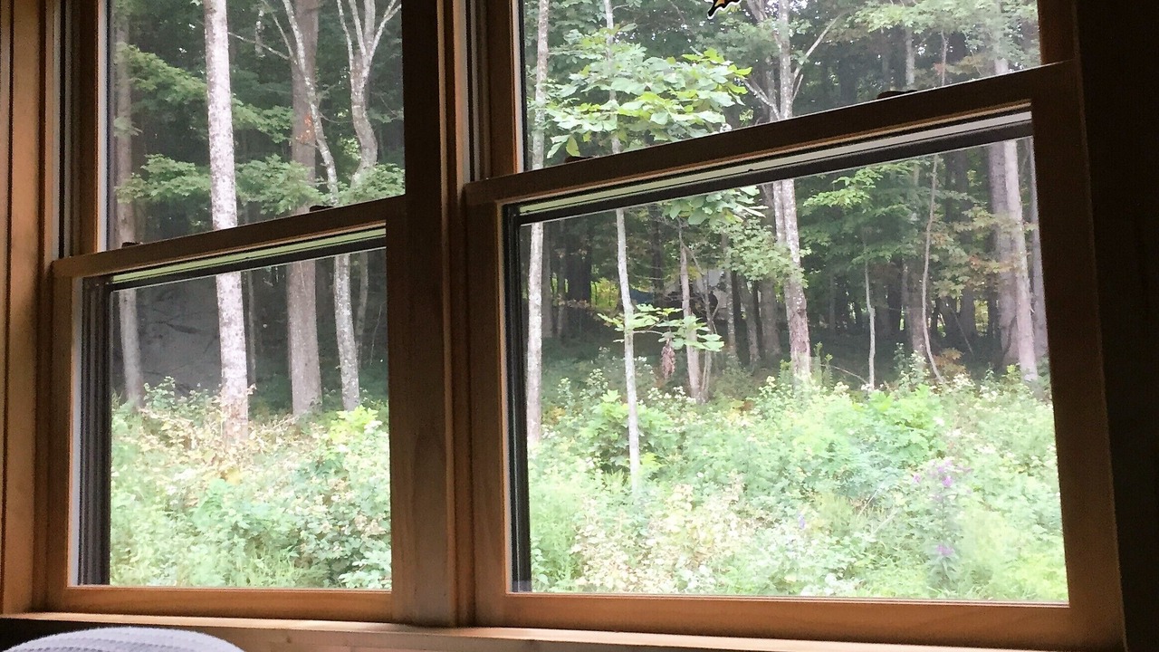 Photo of Bedroom in West Jefferson