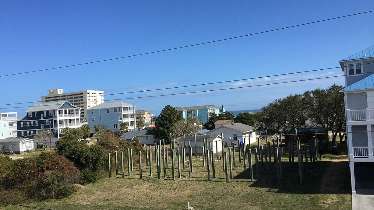 Photo of Others in Wilmington Beach