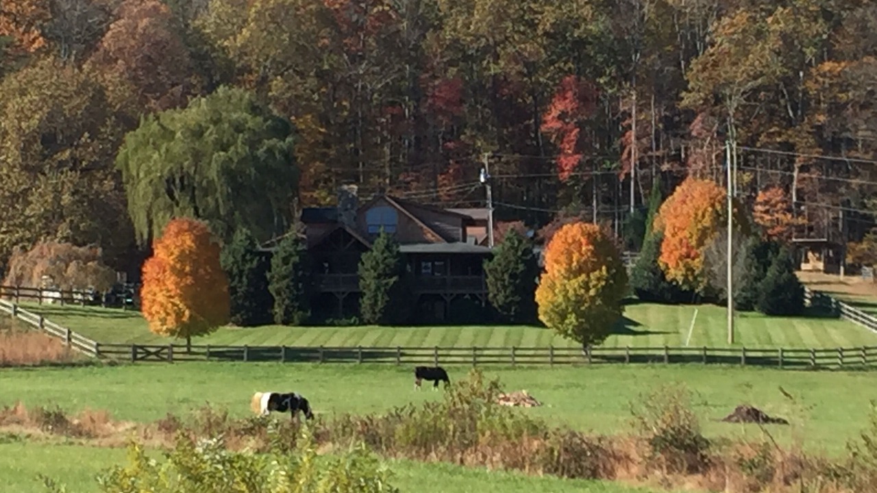 Photo of Others in Arden