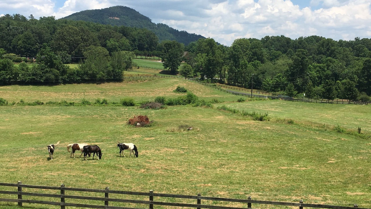 Photo of Outdoor in Arden