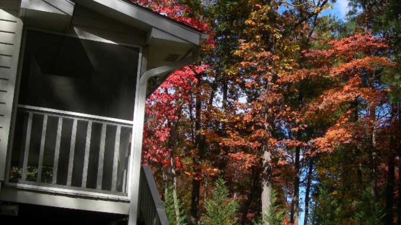 Photo of Outdoor in Fletcher