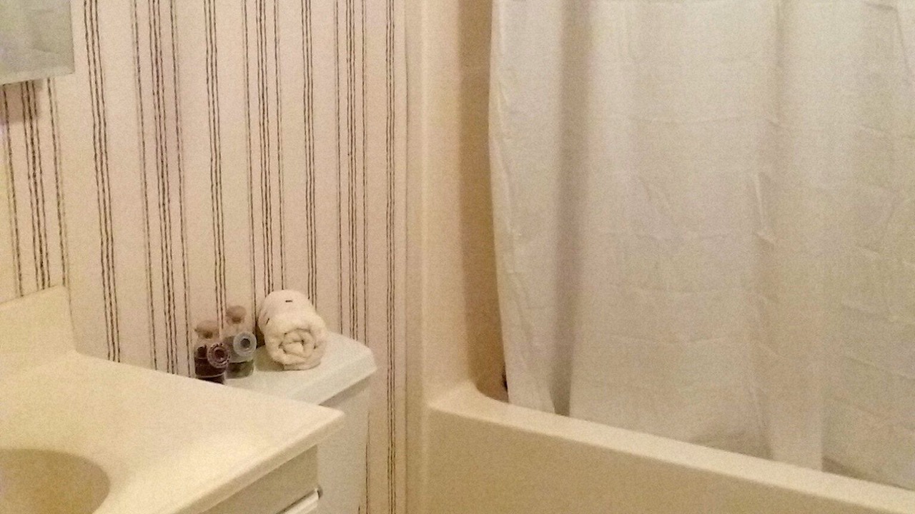 Photo of Bathroom in Fletcher