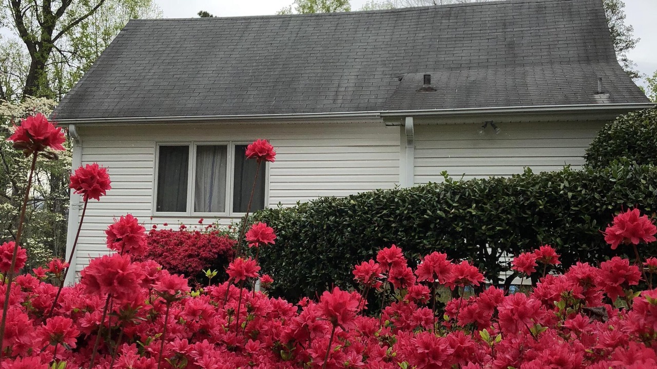 Photo of Outdoor in Lynn