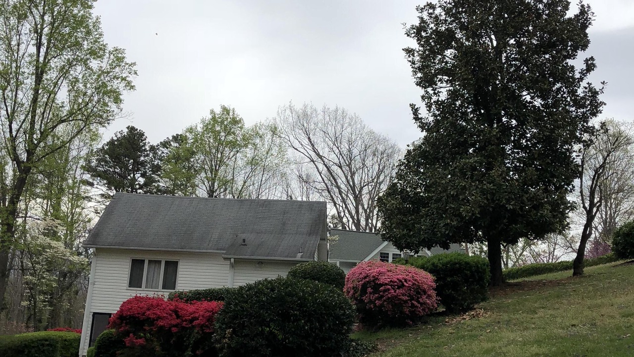 Photo of Outdoor in Lynn