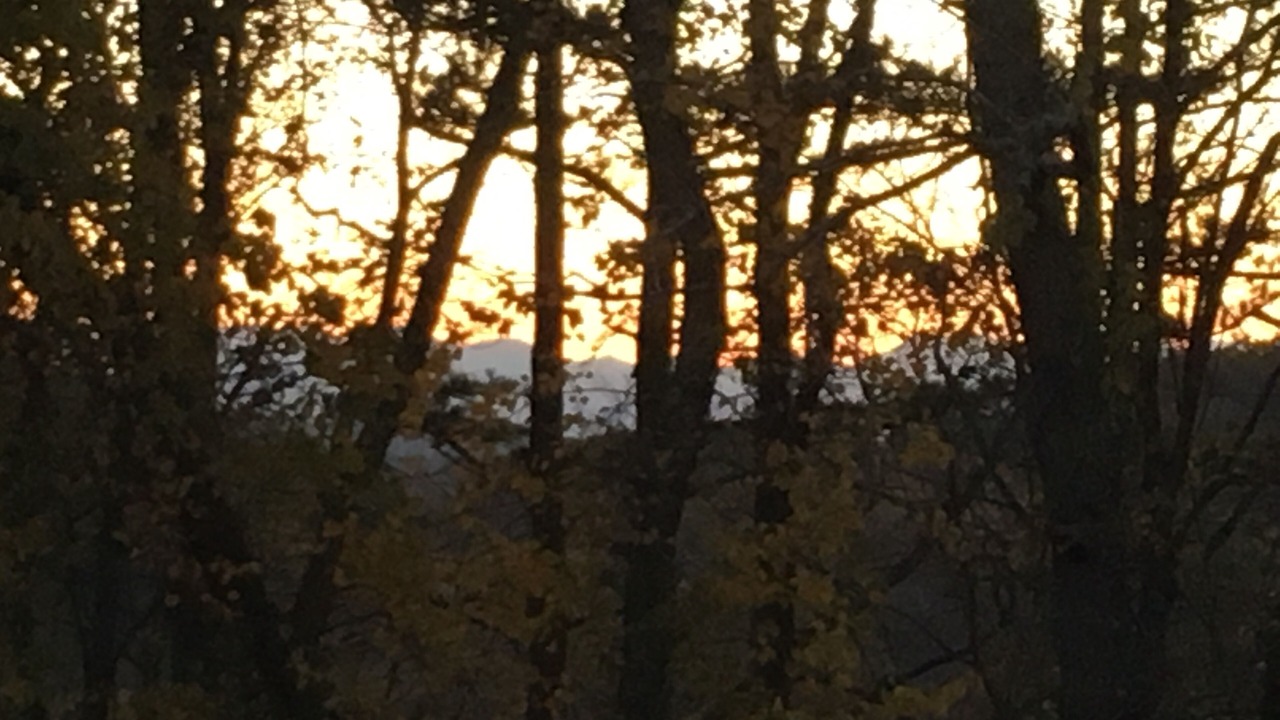 Photo of Others in Weaverville