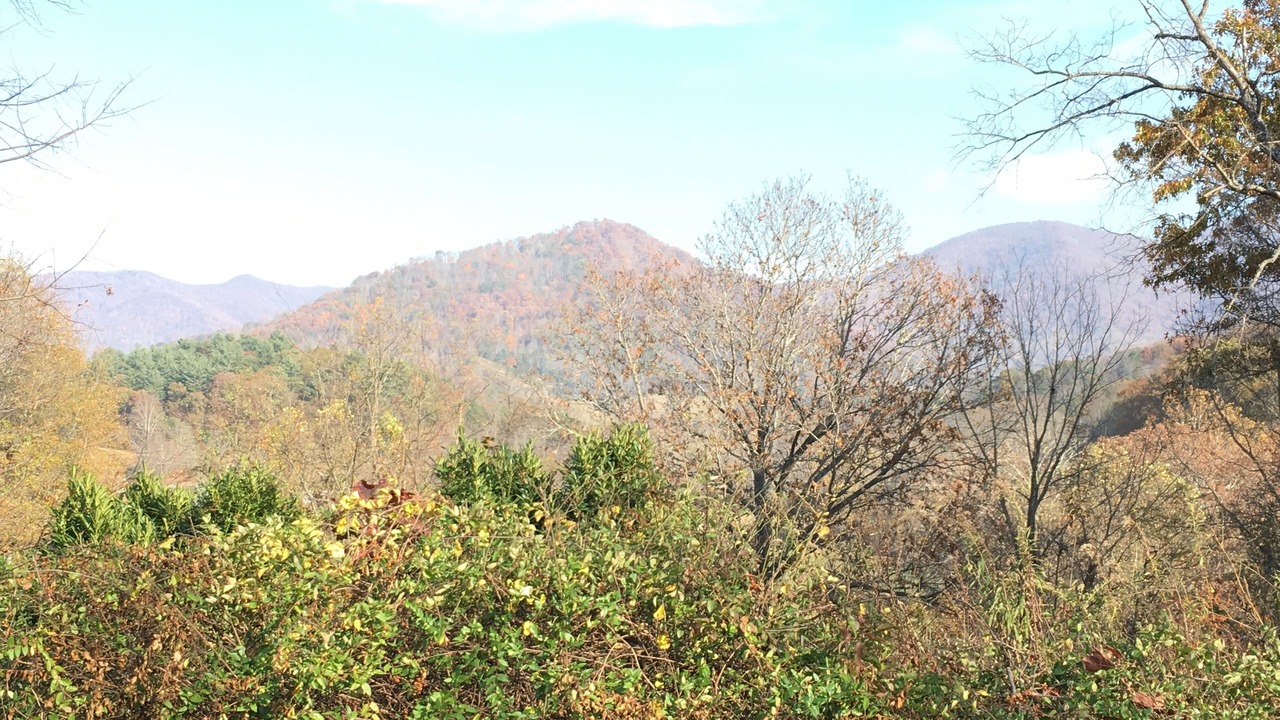 Photo of Others in Weaverville
