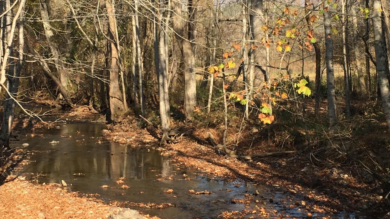 Photo of Others in Weaverville