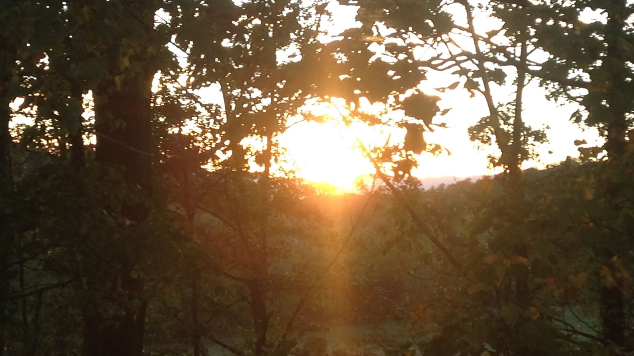Photo of Others in Weaverville