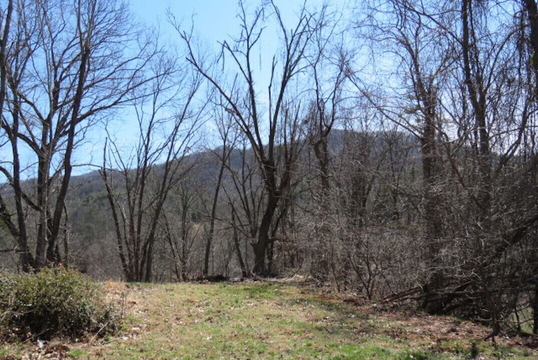 Photo of Outdoor in Weaverville