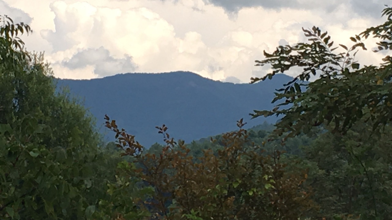 Photo of Others in Weaverville