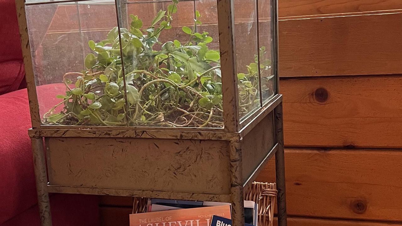 Photo of Others in Leicester