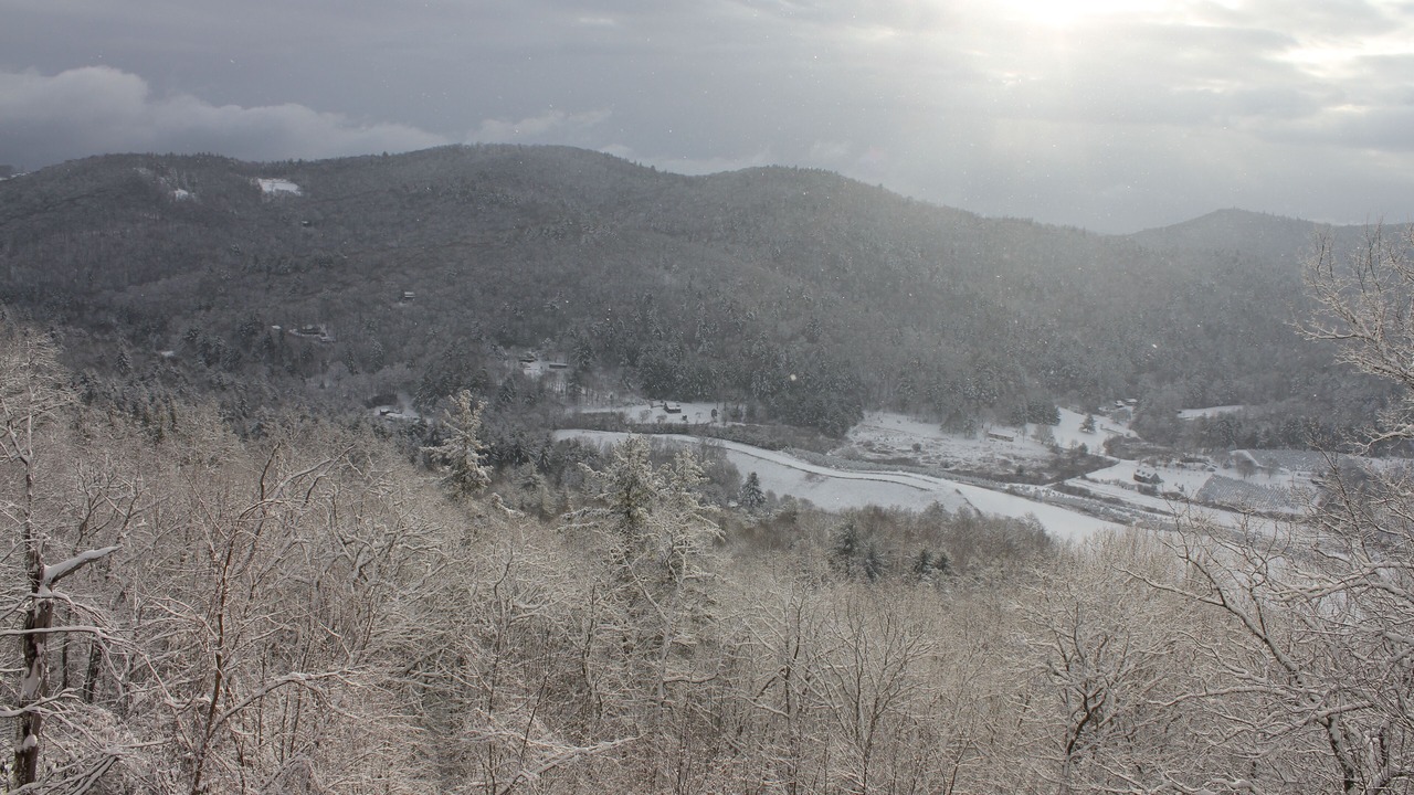 Photo of Others in Cullowhee