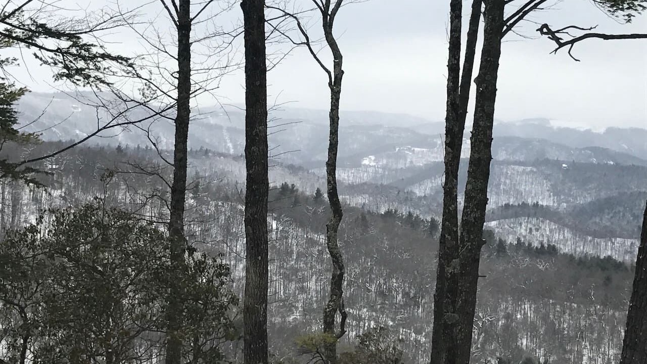 Photo of Others in Apple Ridge