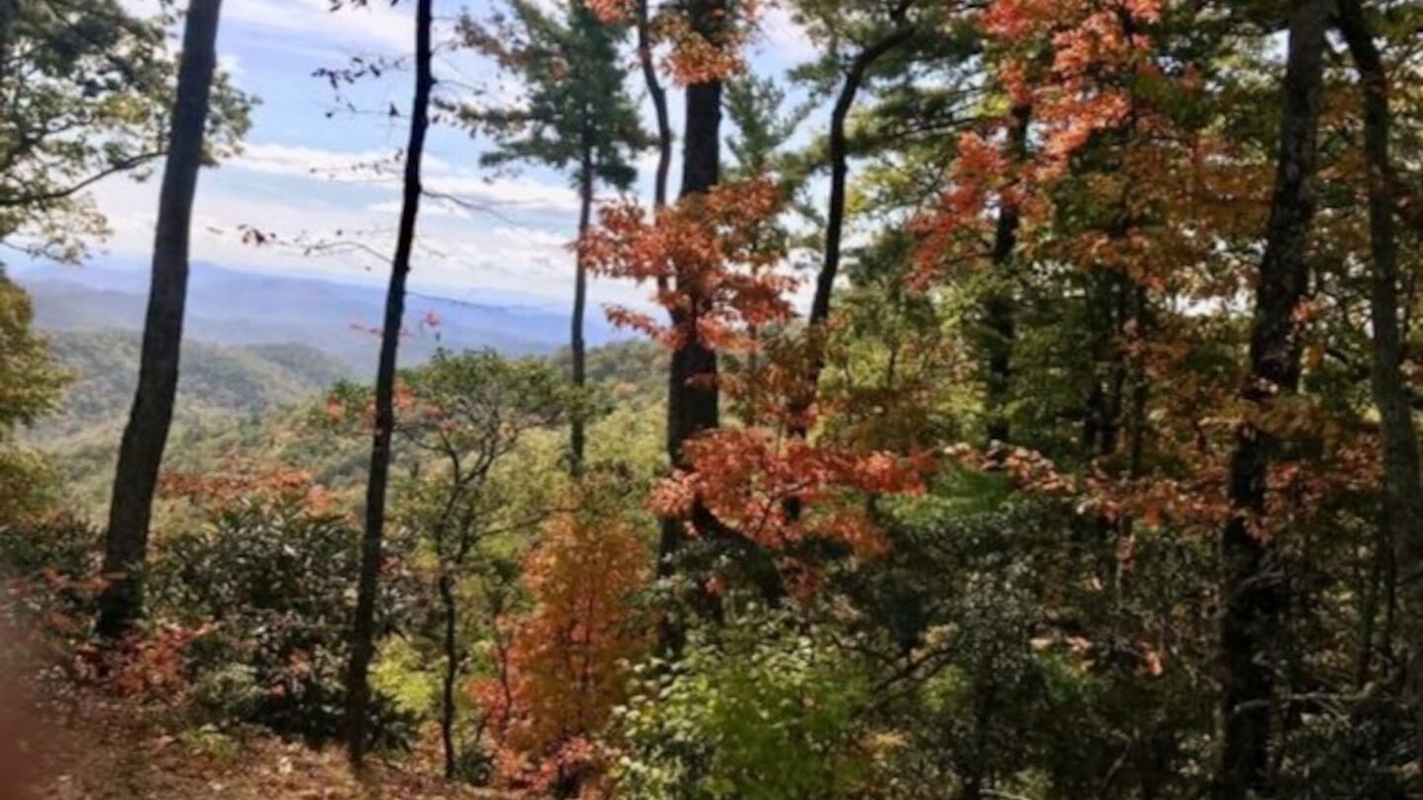 Photo of Outdoor in Apple Ridge