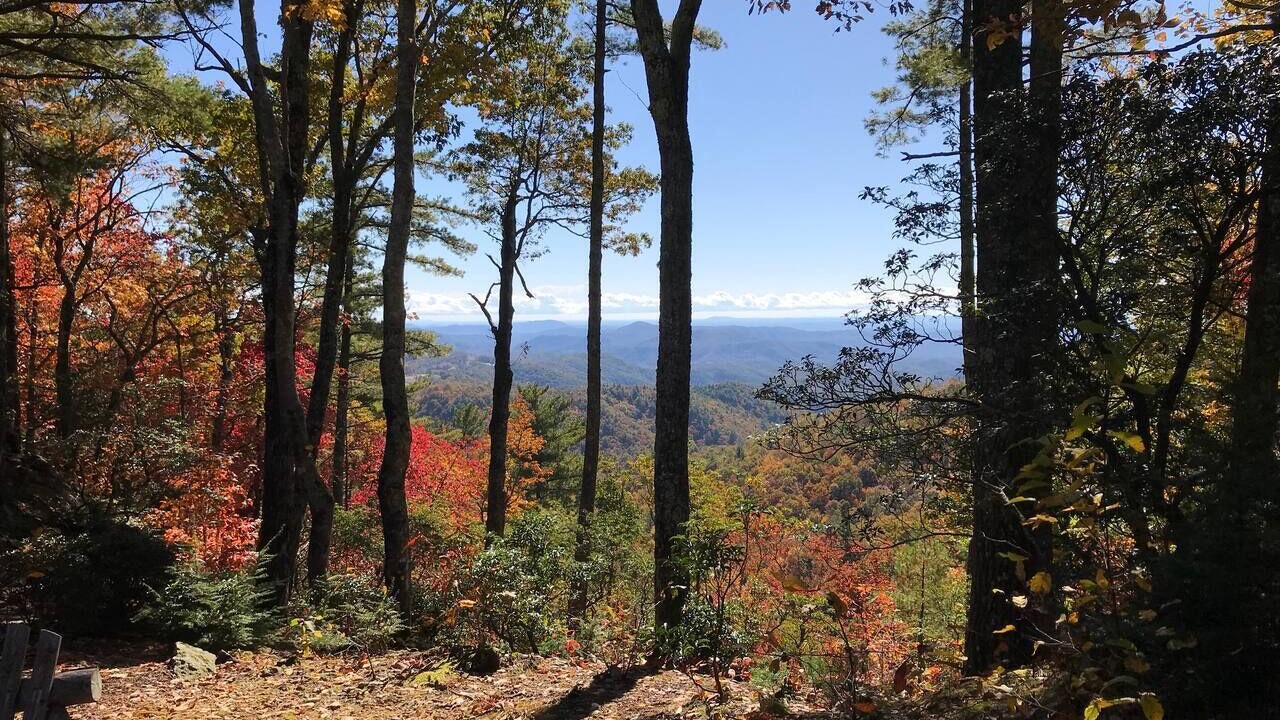 Photo of Others in Apple Ridge