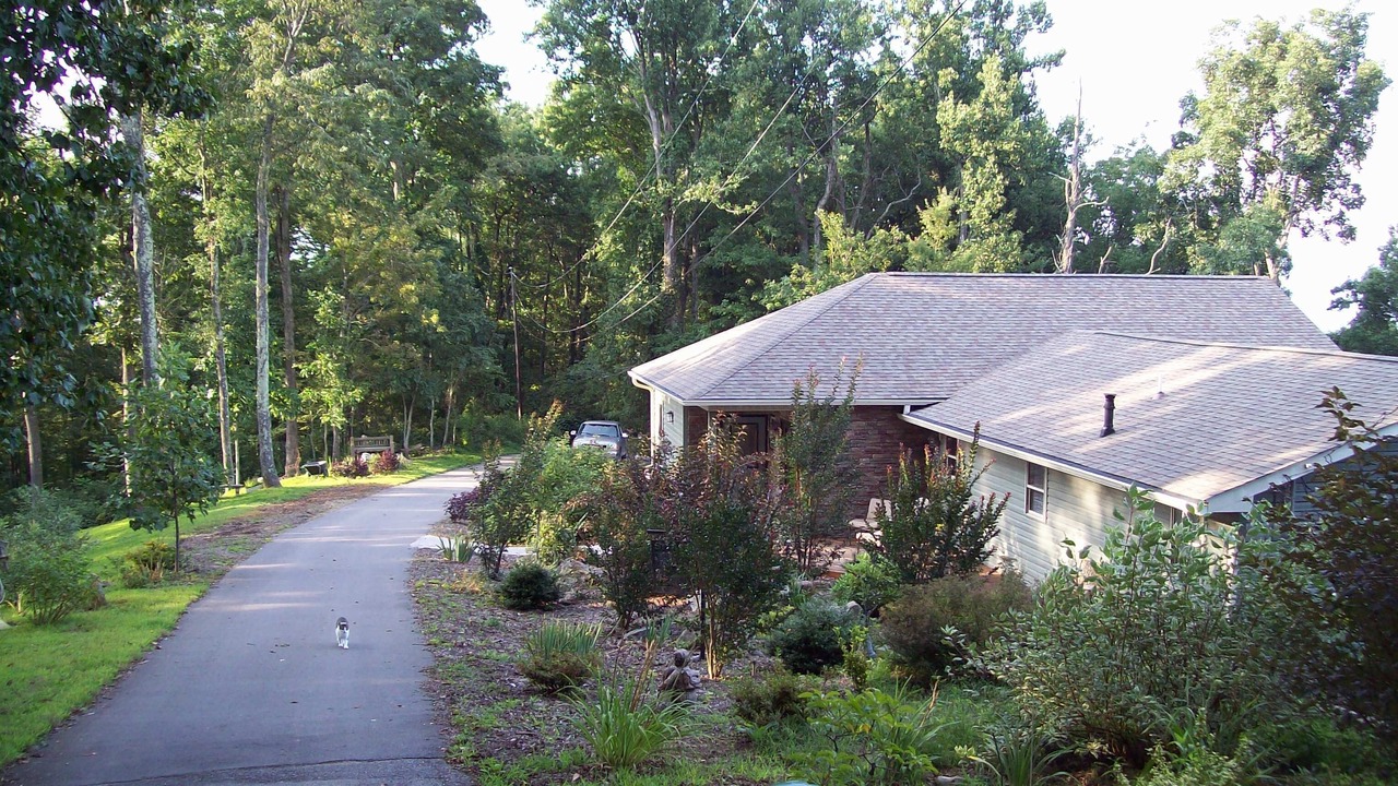 Photo of Others in Skyland